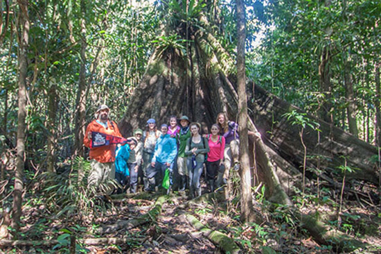 New England College Group