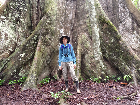 Giant-tree-at-P-Amazonas