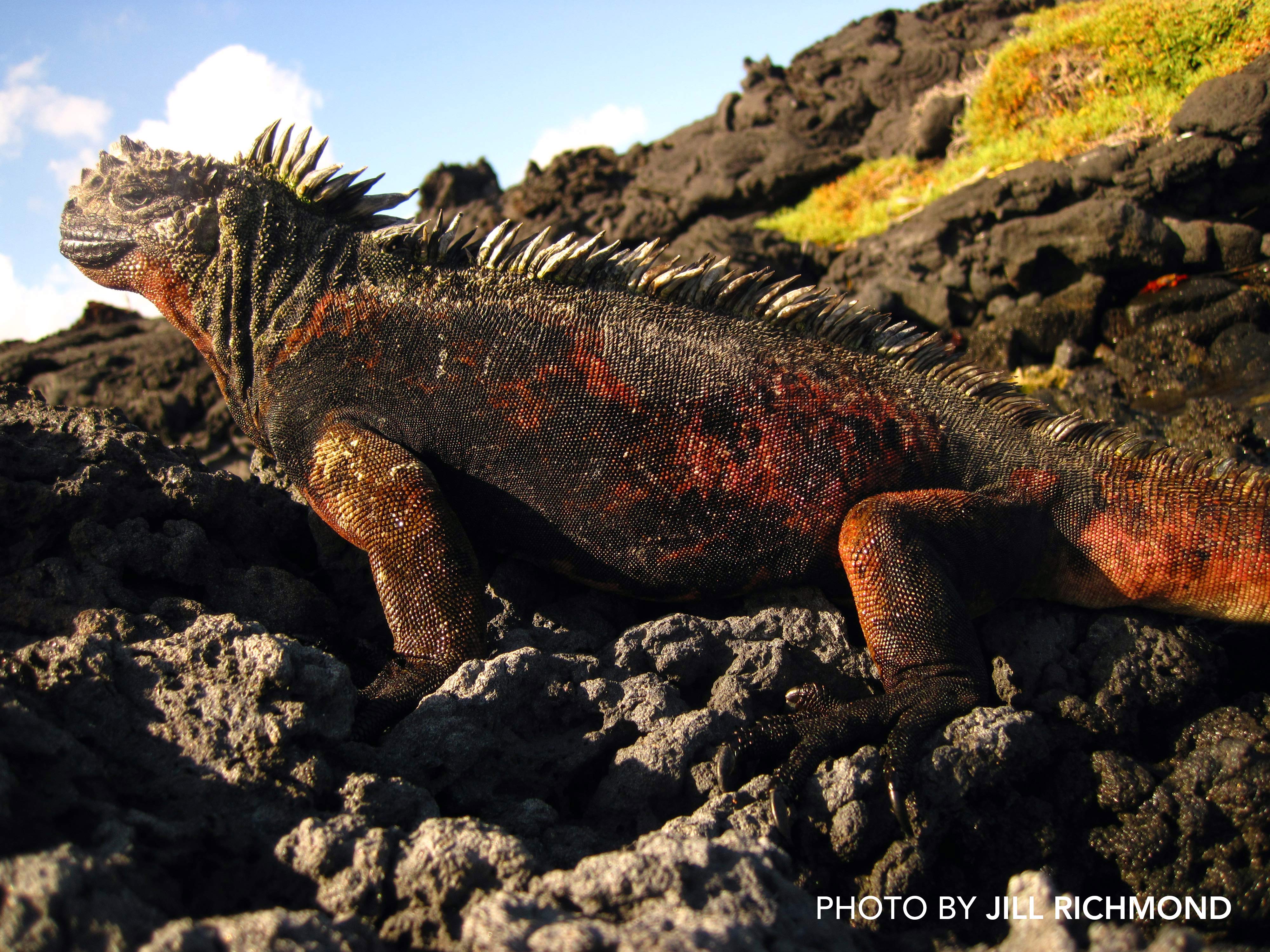 GPS-JillRichmond-RS17797-GPSDigitalPhotog-0337