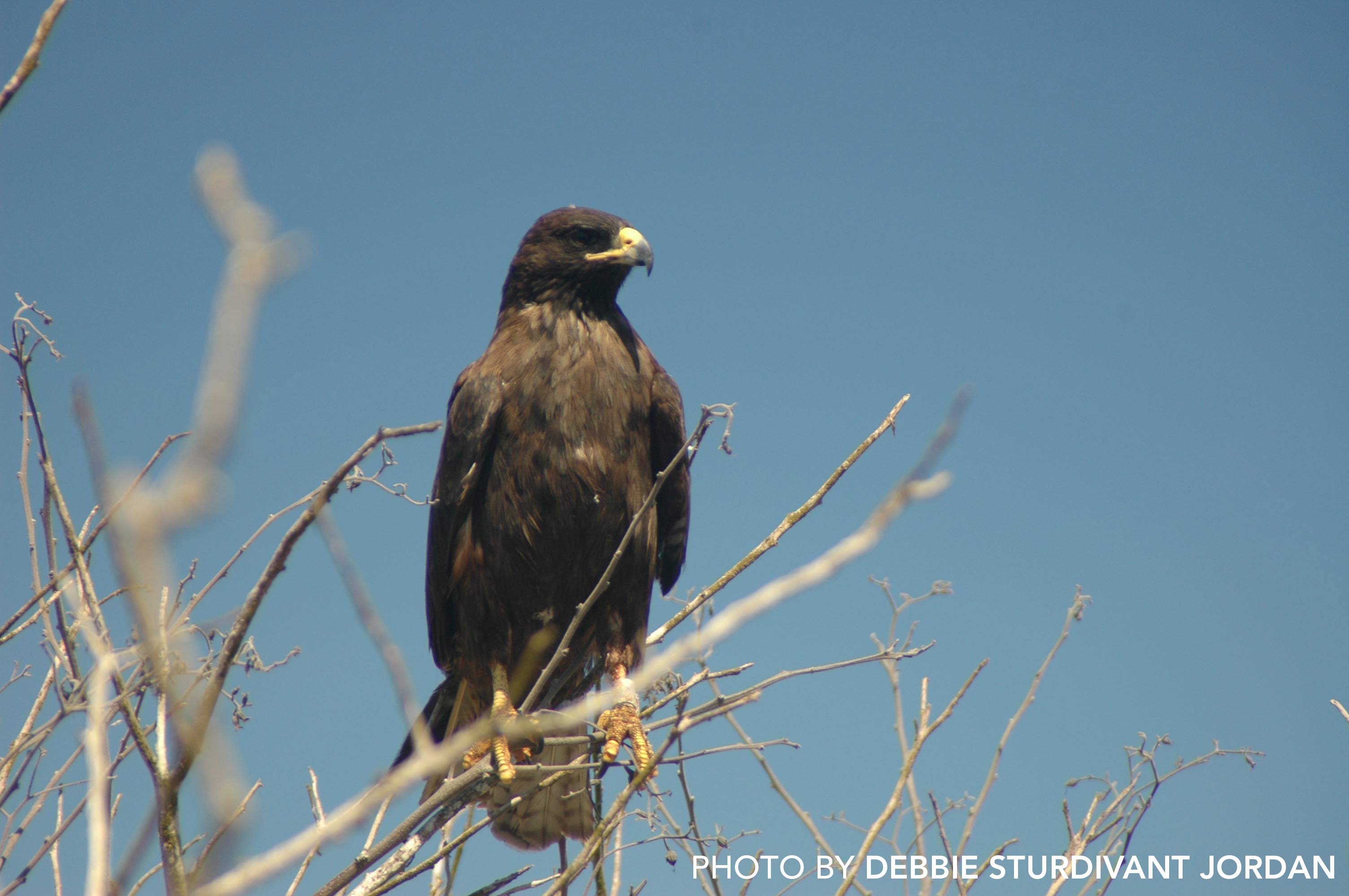 November-Galapagos-#1-365