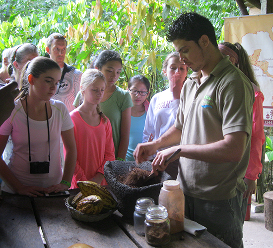 Nightingale--Cacao-plantation