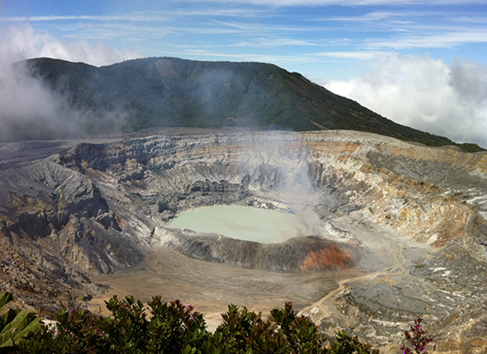 Nightingale--Poas-Volcano-National-Park