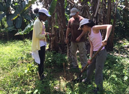 Nightingale--Reforestation