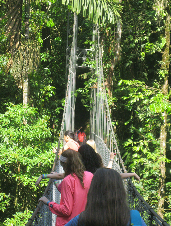 Nightingale--Suspension-bridge