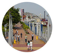 guayaquil