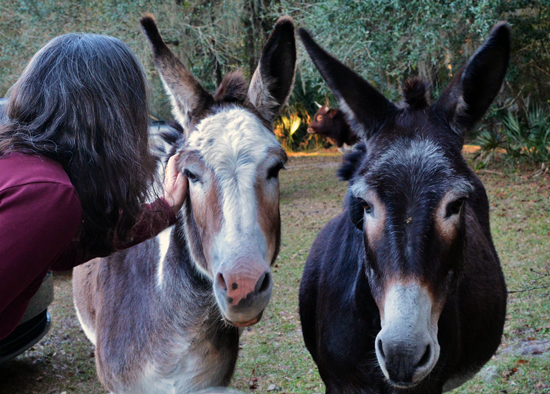 10835366_10205304963652639_5989719325557476804_o