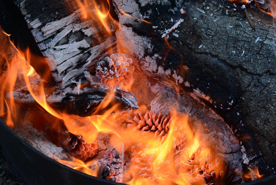 10841805_10205304959252529_7469844097279493942_o