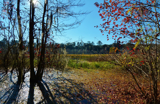 10848535_10205304940252054_2522083384682372836_o