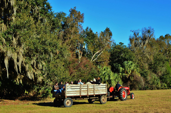 10848987_10205304945052174_3253802872590036892_o