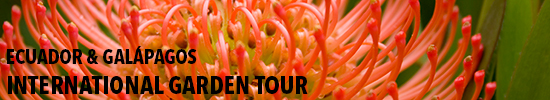 ecuador-gardenheader